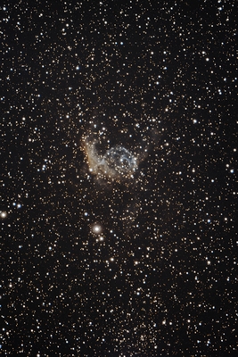 Bild "2020_03_25_NGC2359_Stack_5202s_ASI183_LQ.jpg"
