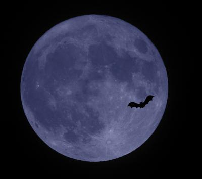 Bild "Bluemoon_Halloween_20201031_201943_Mosaik.jpg"