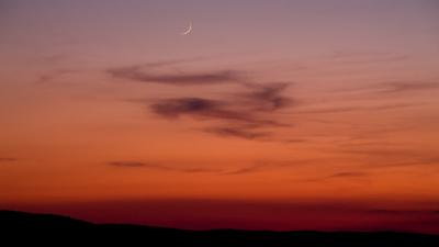Bild "IMG_8936.jpg"