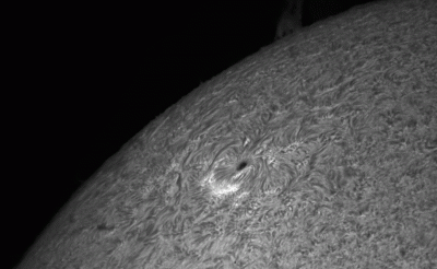 Bild "Sonne_20210614_132014_H-Alpha_pss.gif"